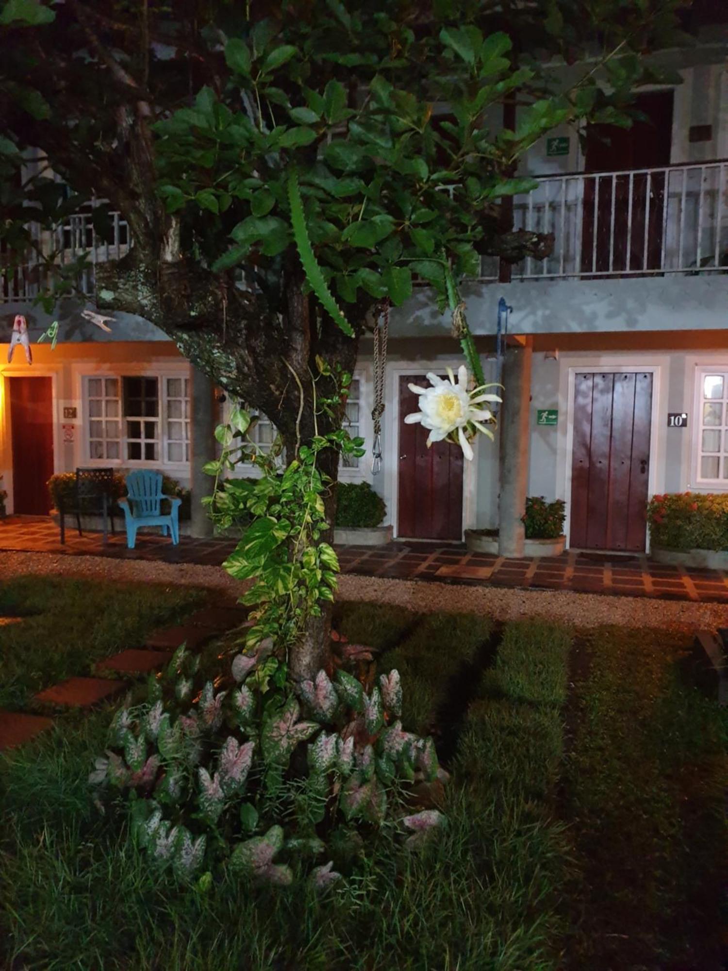 Hotel Liberia Exterior photo